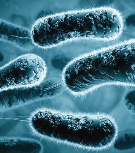 Nebulización de espacios