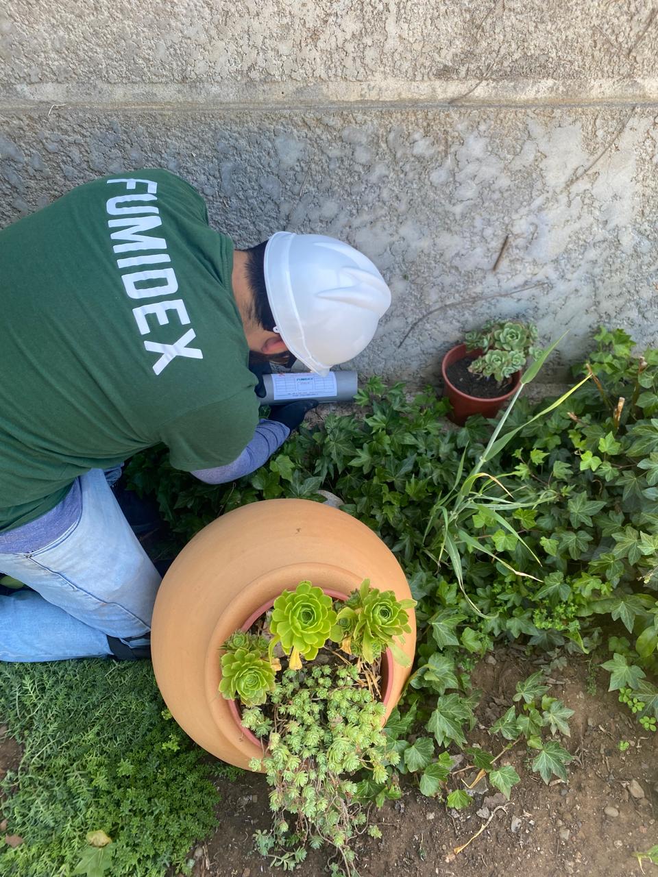 Técnico aplicando control de plagas