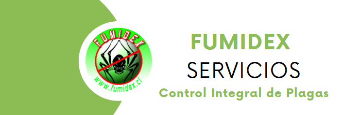 Fumidex logo